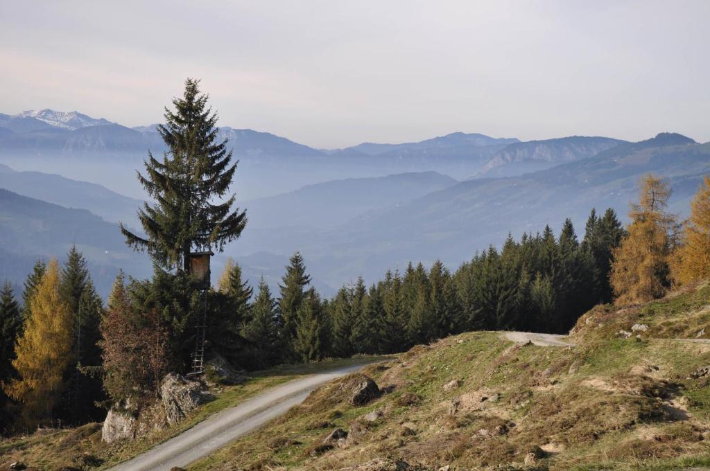 Gasthaus Steinberg Westendorf Luaran gambar